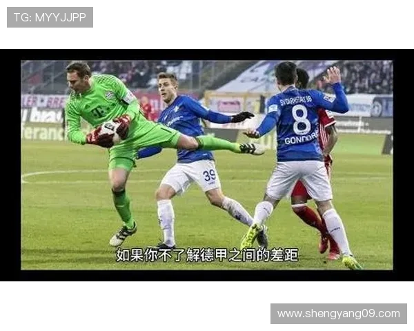 霍芬海姆1899俱乐部新赛季备战情况分析与球队阵容调整更新