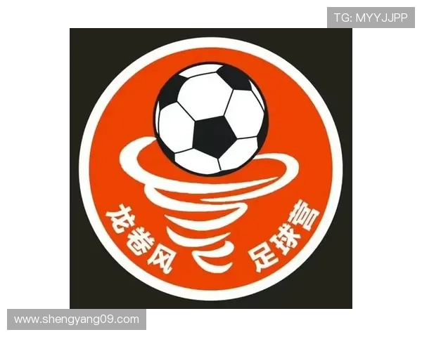 马赛俱乐部的历史变迁与足球文化深度探析：从辉煌到挑战的历程