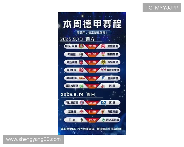 2025赛季德甲联赛完整赛程解析与球队对阵安排分析