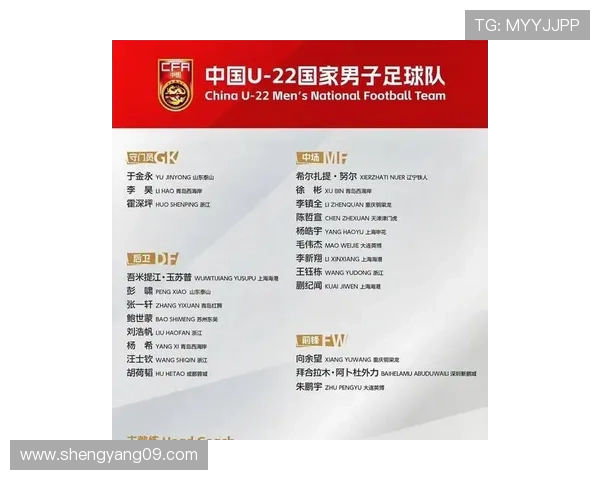 2026年世界杯预选赛中国足球队赛程全面解析及备战计划 2026年世界杯预选赛中国足球队赛程全面解析及备战计划